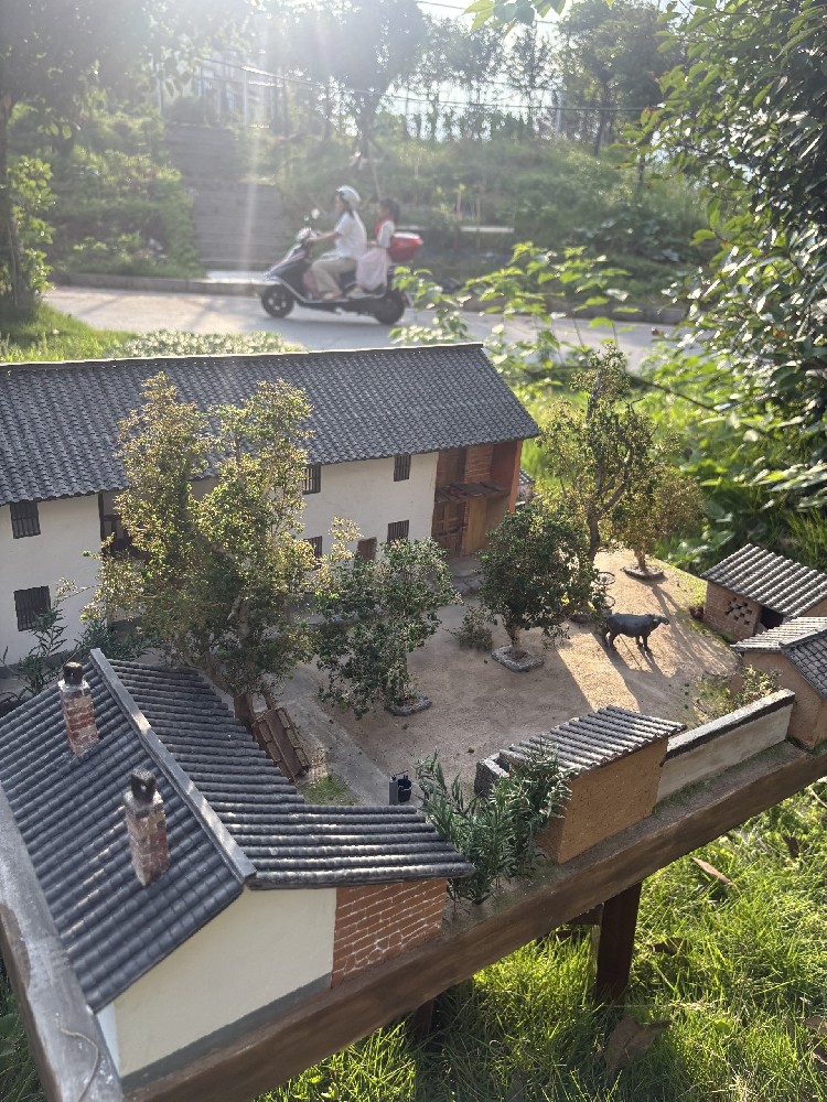 老房子，心頭的暖